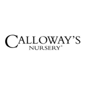 Calloways Logo