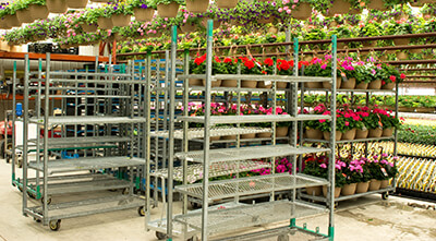 Empty Carts Ready for a Cart and Rack Sweep