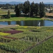 Plant Nursery Overhead Image-2