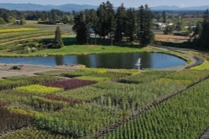 Plant Nursery Overhead Image